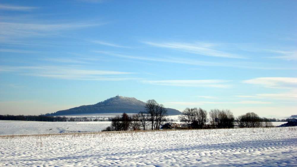 Single oberlausitz