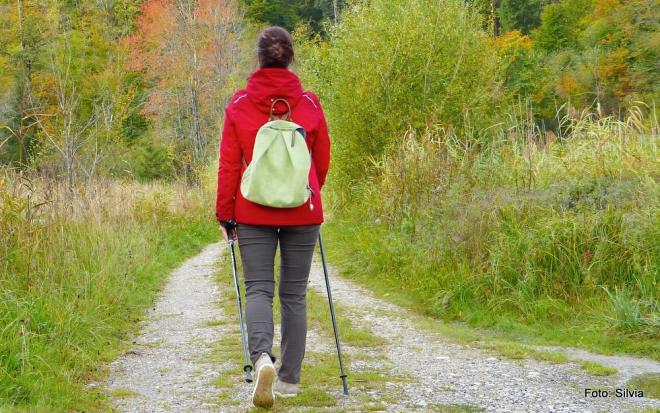 "Rettungskette Forst im Landkreis Görlitz" – schnelle Hilfe im Wald "Rettungskette Forst im Landkreis Görlitz" – schnelle Hilfe im Wald