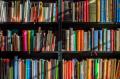 Stadtbibliothek Grlitz zelebriert den Tag der Bibliotheken mit vielfltigem Programm