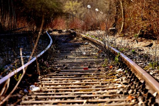Zukunftsvision trotz Rckschlag: Grlitzer Politiker wollen Schienen ausbauen