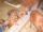 Hannoversche Schwei�hunde