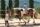 Kinderparadies in der Toscana, Italien