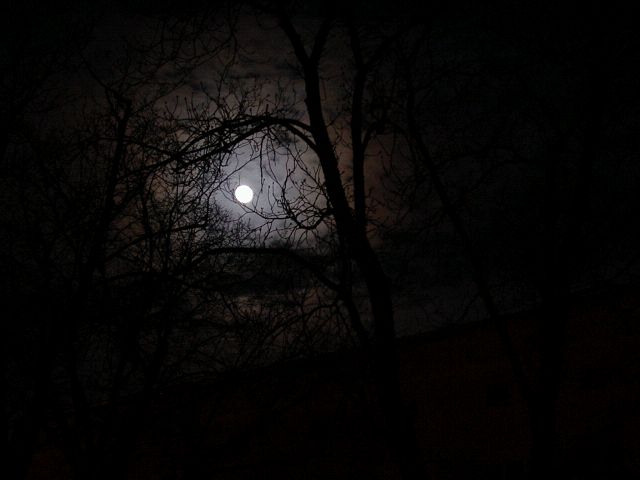 Bild zu Hngt den Mond in die Bume . . .