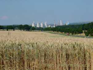 Bild zu Die braune Kohle soll bleiben