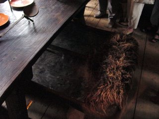 Bild zu Turisede-Museum