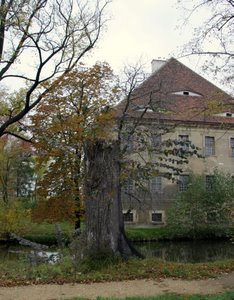 Bild zu Wasserschloss Tauchritz