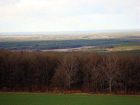 Bild zu Monumentberg bei Gro Radisch