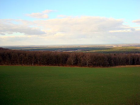 Bild zu Monumentberg bei Gro Radisch