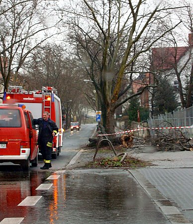 Bild zu Vom Winde verweht