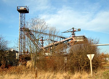 Bild zu Die Braunkohle lebt!