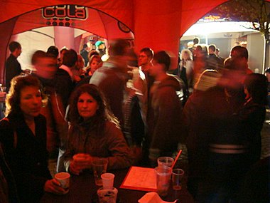Bild zu 16. Zittauer Musiknacht 2008