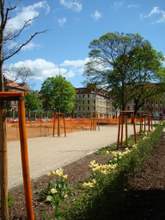 Bild zu Lutherplatz und mehr