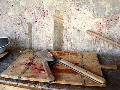 Bild zu "Mein Kampf" in Zittau