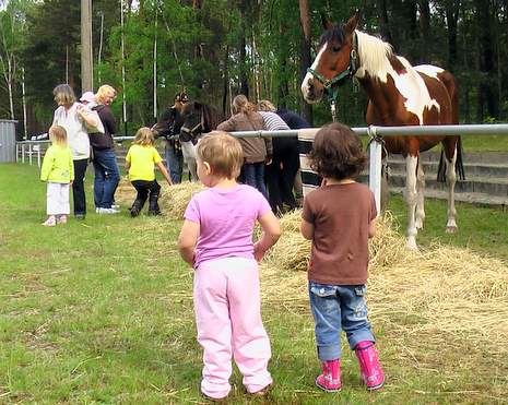 Bildtitel: Reitverein Boxberg präsentiert sich Bild zu Reitverein Boxberg präsentiert sich