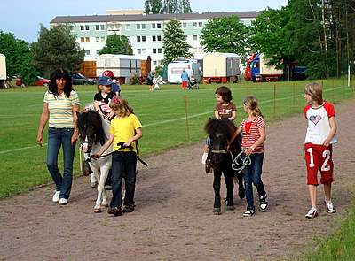 Bild zu Reitverein Boxberg