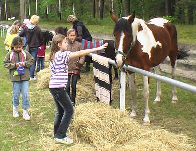Bild zu Reitverein Boxberg