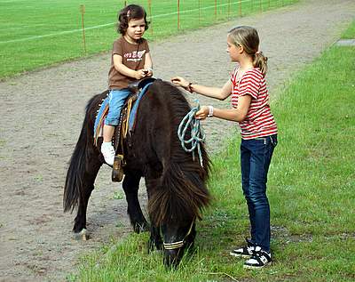 Bild zu Reitverein Boxberg