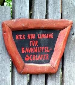 Bild zu In den Gipfeln des Luxus