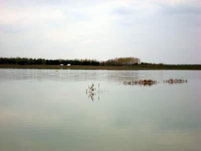 Bild zu Am Brwalder See