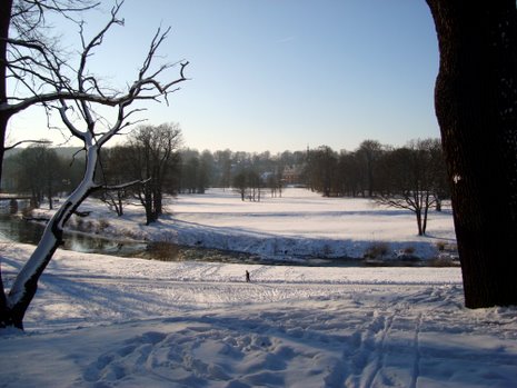 Bildtitel: Der Winter gibt der Pücklerschen Parklandschaft einen eigenen Reiz Bild zu Der Winter gibt der Pücklerschen Parklandschaft einen eigenen Reiz