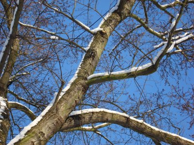 Bild zu Im Fürst Pückler Park zu Bad Muskau