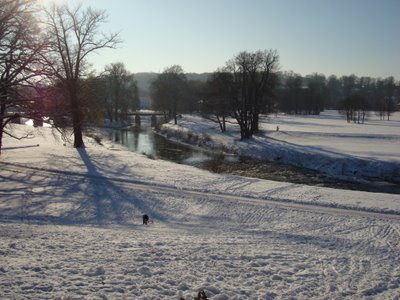 Bild zu Tritt ein in den Park