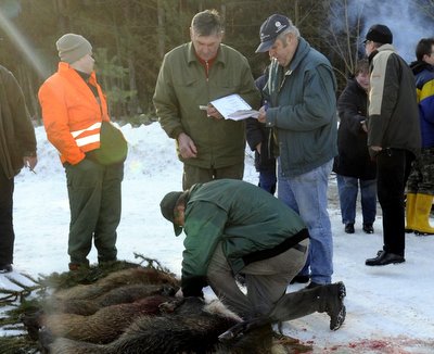 Bild zu Drckjagd am Berzdorfer See