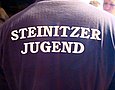 Bild zu Wenn Steinitz rockt