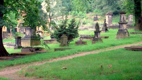 Veranstaltungsort Nikolaifriedhof? Veranstaltungsort Nikolaifriedhof?