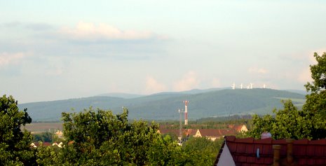 Artensterben inmitten Europas Artensterben inmitten Europas