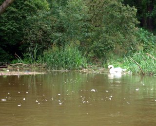 Bild zu lsperre an der Neie