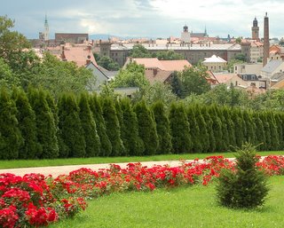 Bild zu Wo der lberg blht