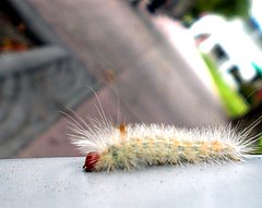 Bild zu Meine groe kleine Reise (4)
