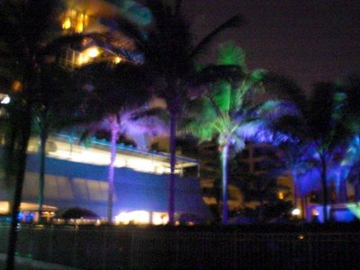 Bild zu Laura Beier - Bilder aus Miami