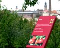Bild zu Lehrtafeln im lberggarten erneuert