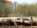 Bild zu Wettbewerb zur Gestaltung des Neieufers