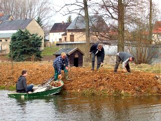 Bild zu Junge Angler aus Gersdorf packen an