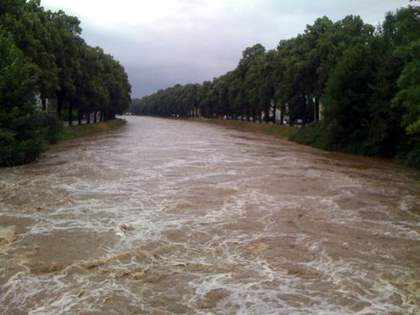 Bild zu Hochwasser in Zittau am 7. August 2010