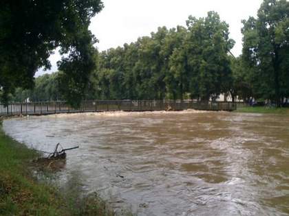 Bild zu Hochwasser in Zittau am 7. August 2010