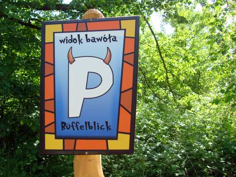 Bild zu 