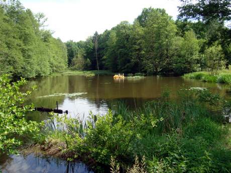 Bild zu 