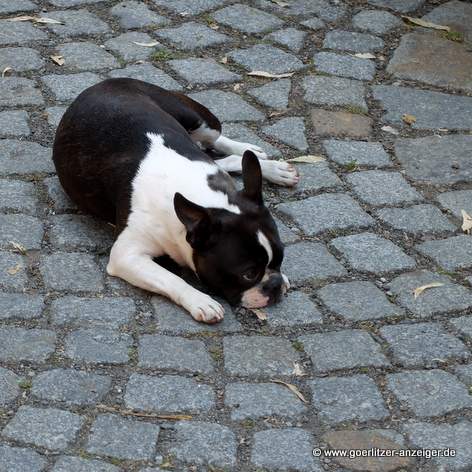 Bild zu 