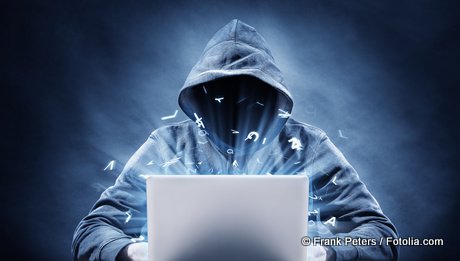 Bild zu In Sachsen gab es im letzten Jahr ber 1.400 Flle von Internetkriminalitt 