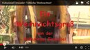 Bildtitel: Weihnachtsgrüße von der Kulturinsel! Bild zu Weihnachtsgrüße von der Kulturinsel!