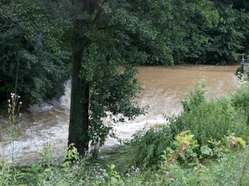 Bild zu Katastrophenalarm im Landkreis Grlitz - Ende absehbar