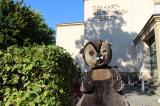 Bild zu Tage der offenen T�r am Gerhart-Hauptmann-Theater