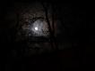 Bild zu Hngt den Mond in die Bume . . .