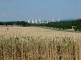 Bild zu Die braune Kohle soll bleiben