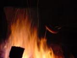 Bild zu Walpurgisfeuer 2008