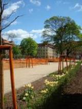 Bild zu Lutherplatz und mehr